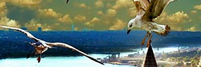 kakfalour's profile banner image