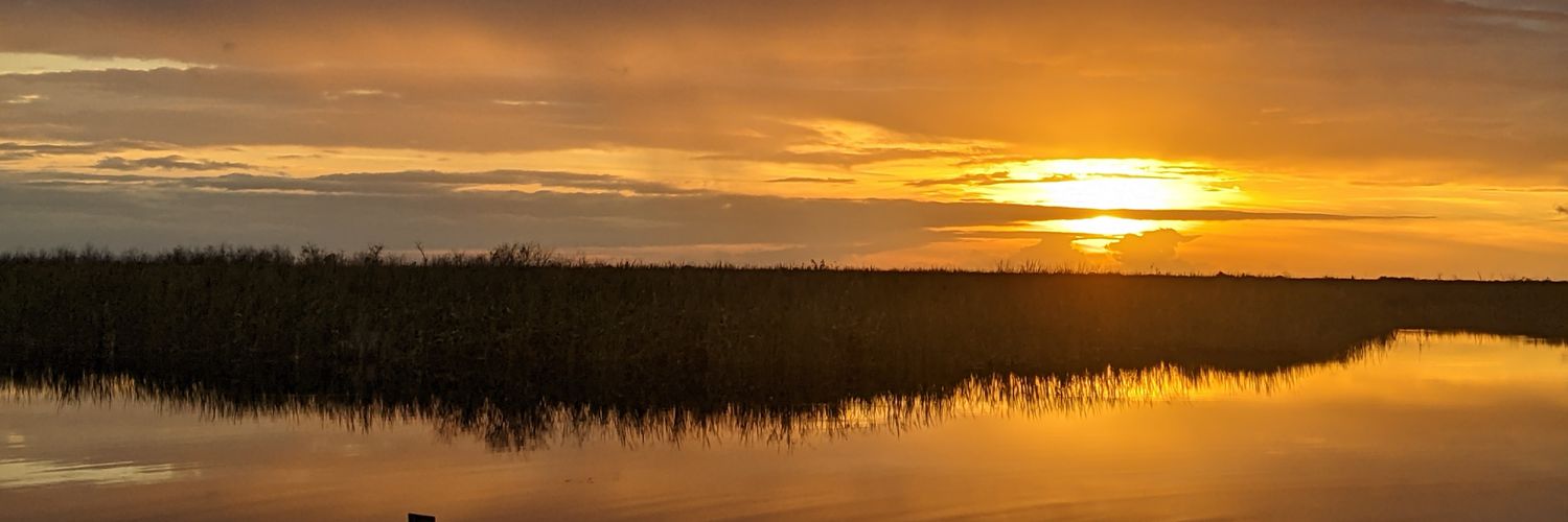 loricolan's profile banner image
