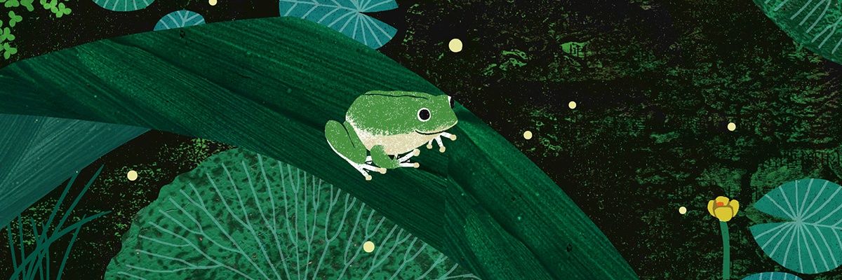 k.trine 🏳️‍⚧️🇺🇦🇵🇸 banner