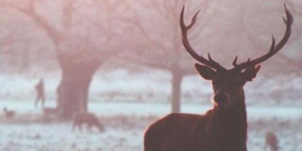 birkacseyler's profile banner image