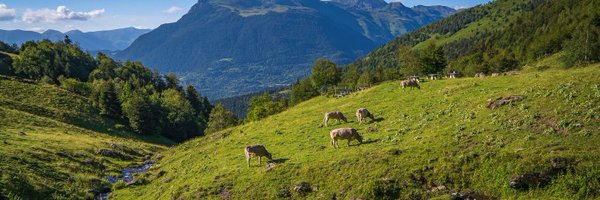 Val_dAran Profile Banner