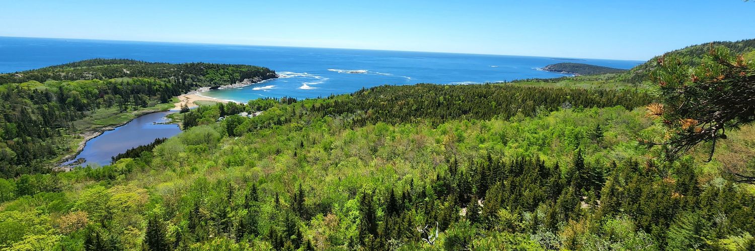 Yahya Mahamid محاميد banner