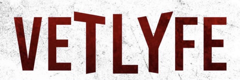 Ja No Morant🦍 banner