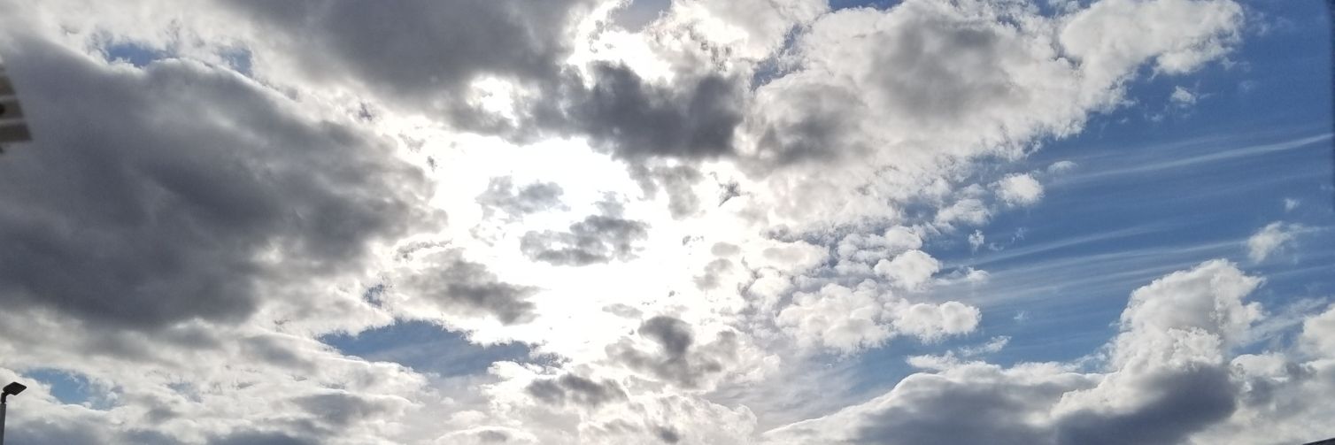 allisonmcguffie's profile banner image
