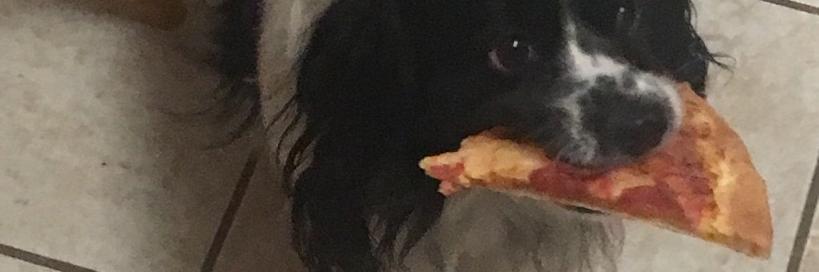 GerkinPickles's profile banner image