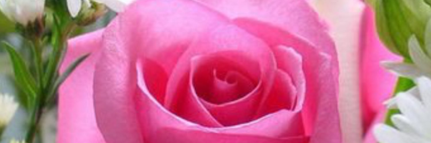 DuchessofDebbie's profile banner image