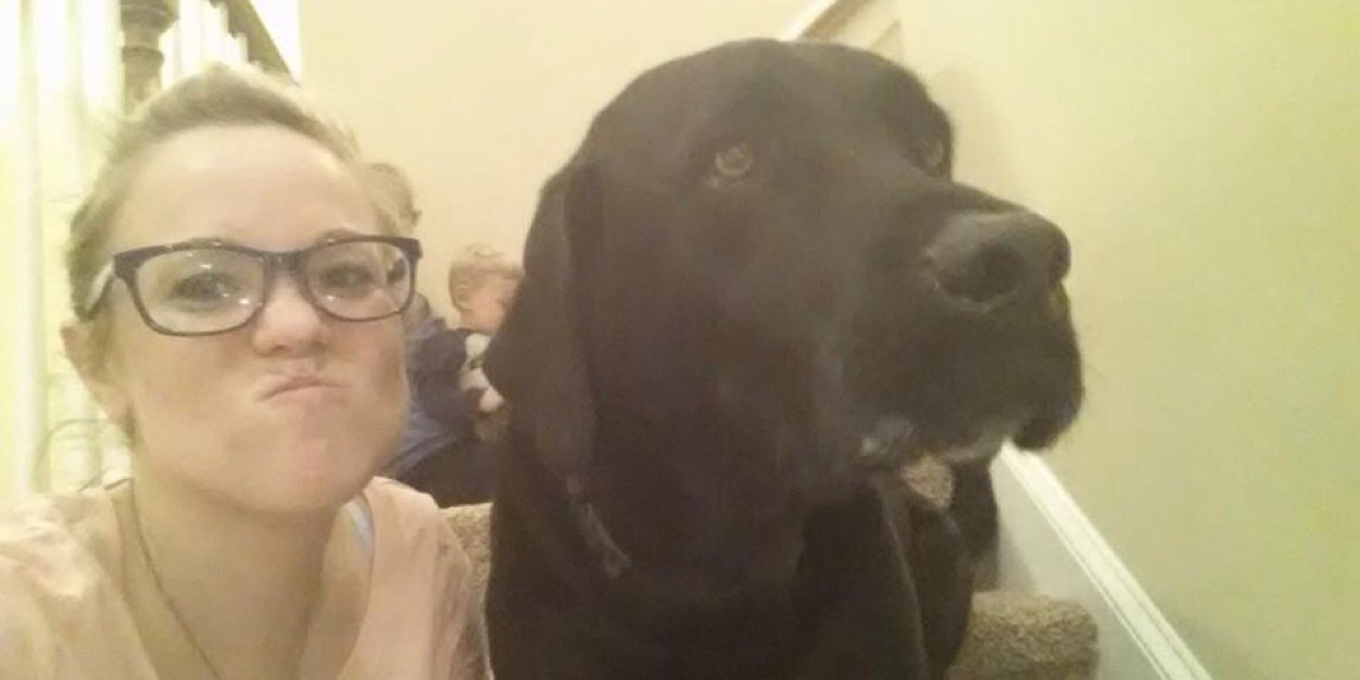 Linzrose13's profile banner image