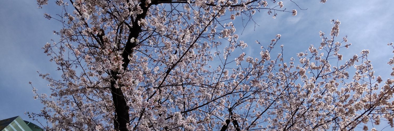 tteetu's profile banner image