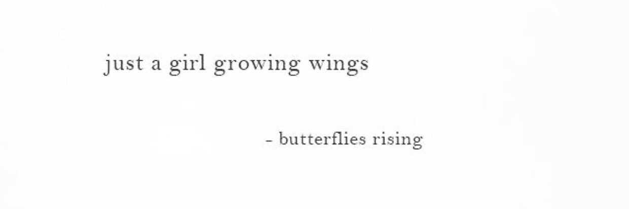 🦋 banner