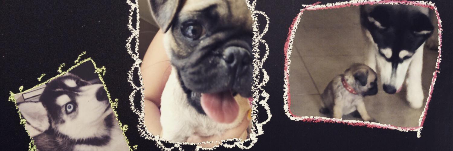 anyleyvaa's profile banner image