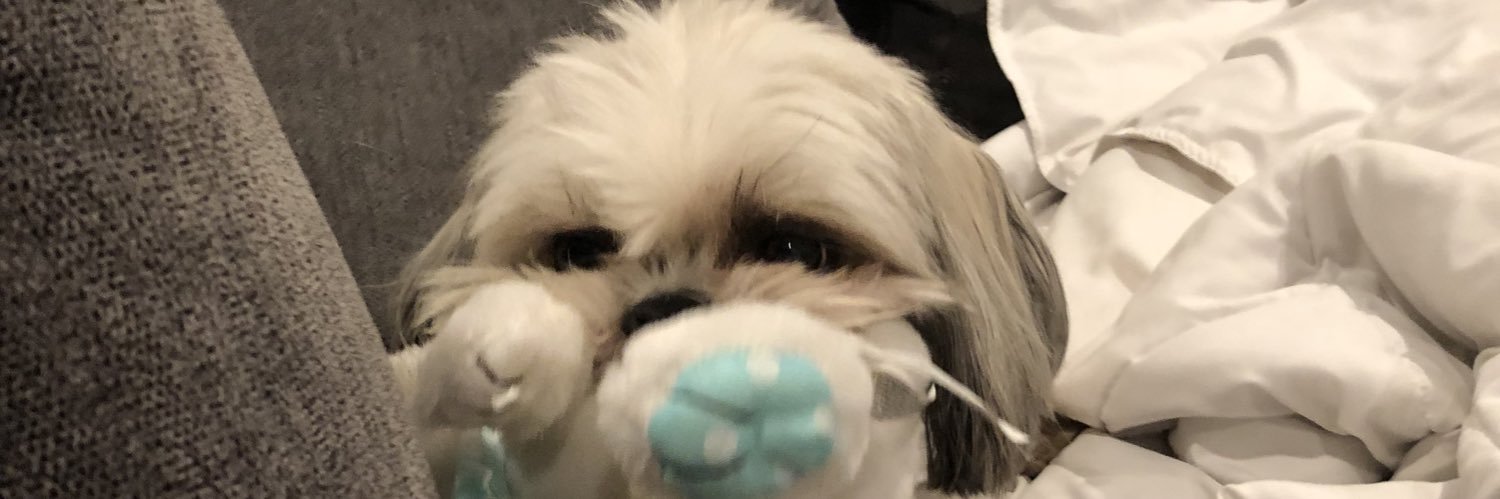 karsynjoyy's profile banner image