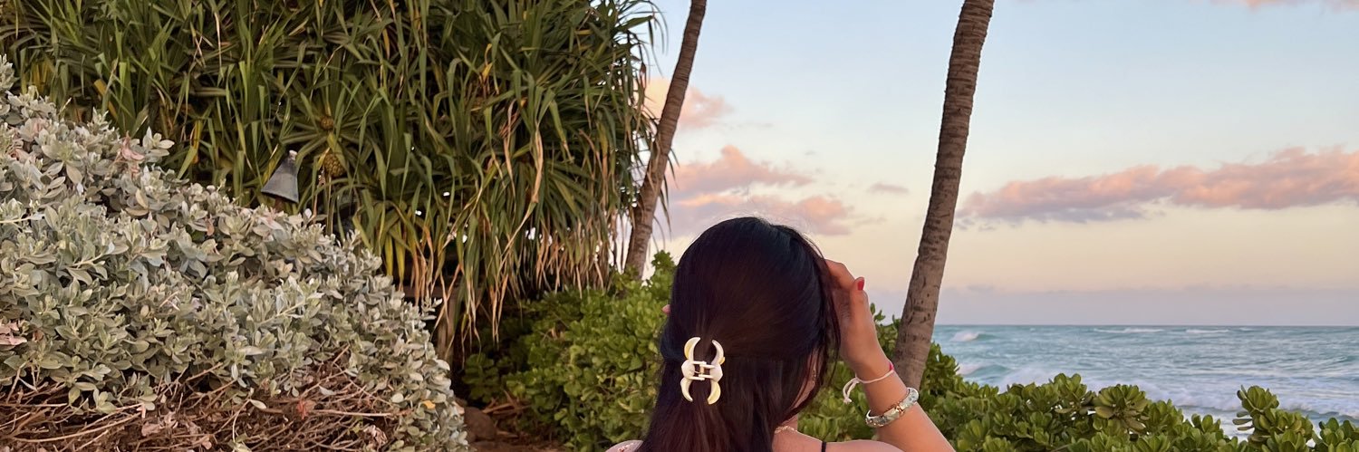 summerlilacsky's profile banner image