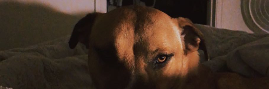 mal_hanks's profile banner image