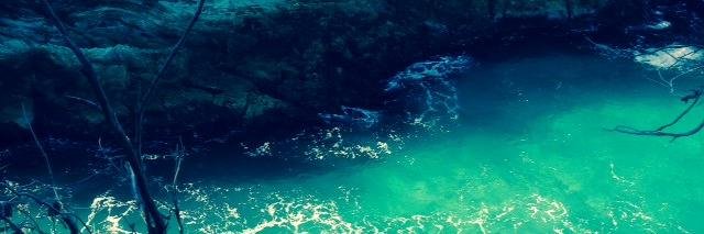 amber_bruce98's profile banner image