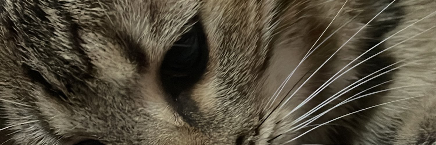 lrssathayde's profile banner image
