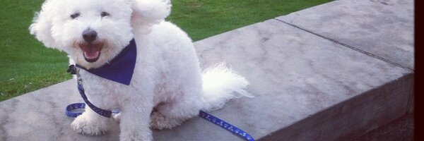 kaleigh_t Profile Banner