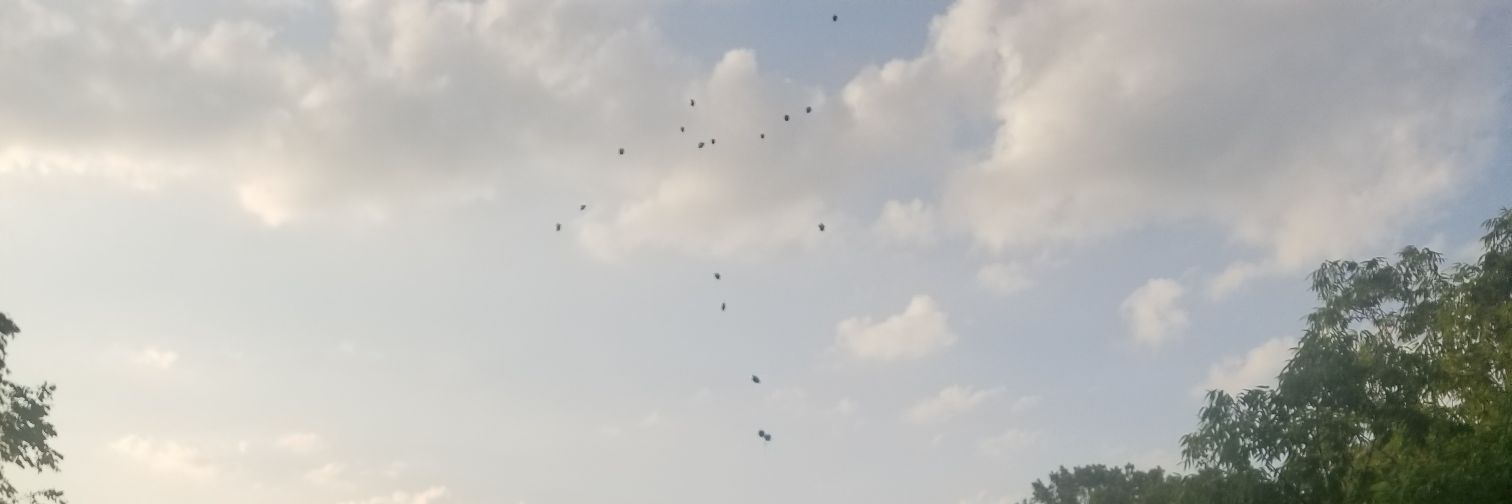hydrocodon_21's profile banner image
