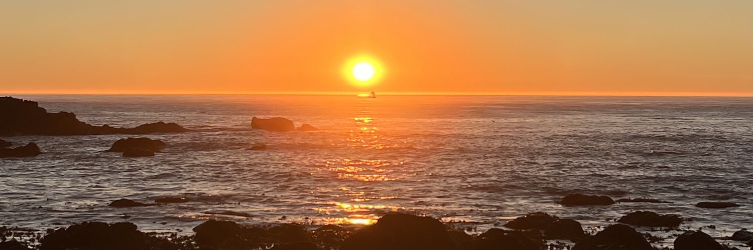 Mr Whale 🐳 banner