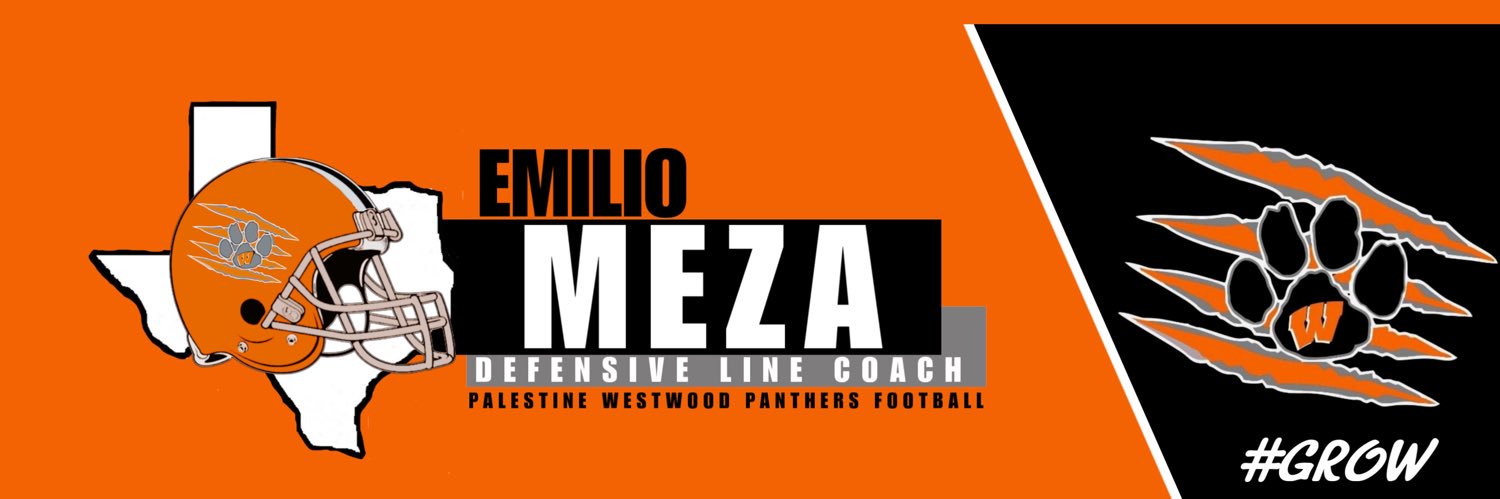 Emilio Meza banner