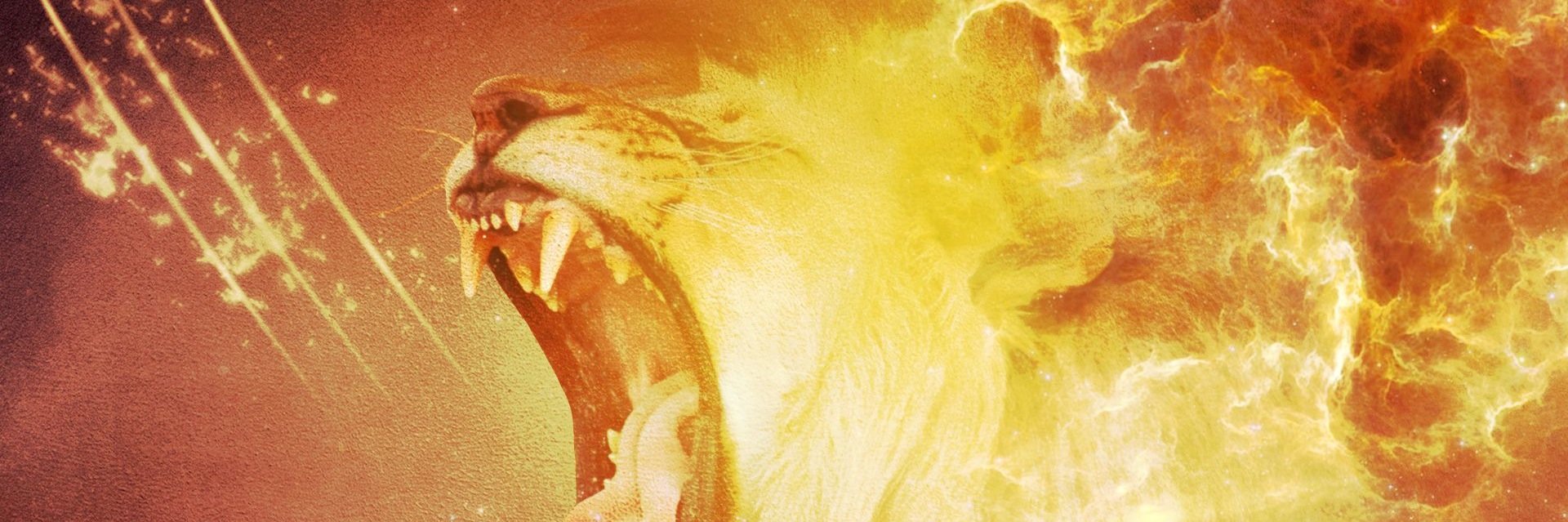 etalbs's profile banner image