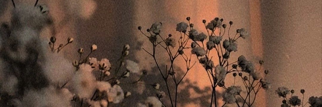 janlatog's profile banner image