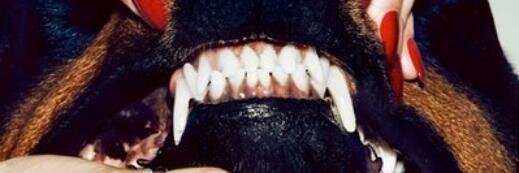 Jamwemzi's profile banner image