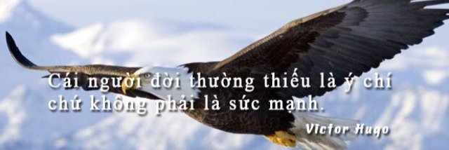 phuc banner