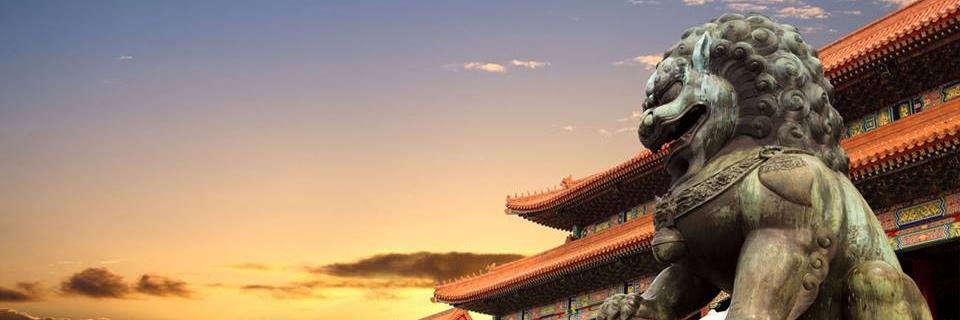product251's profile banner image