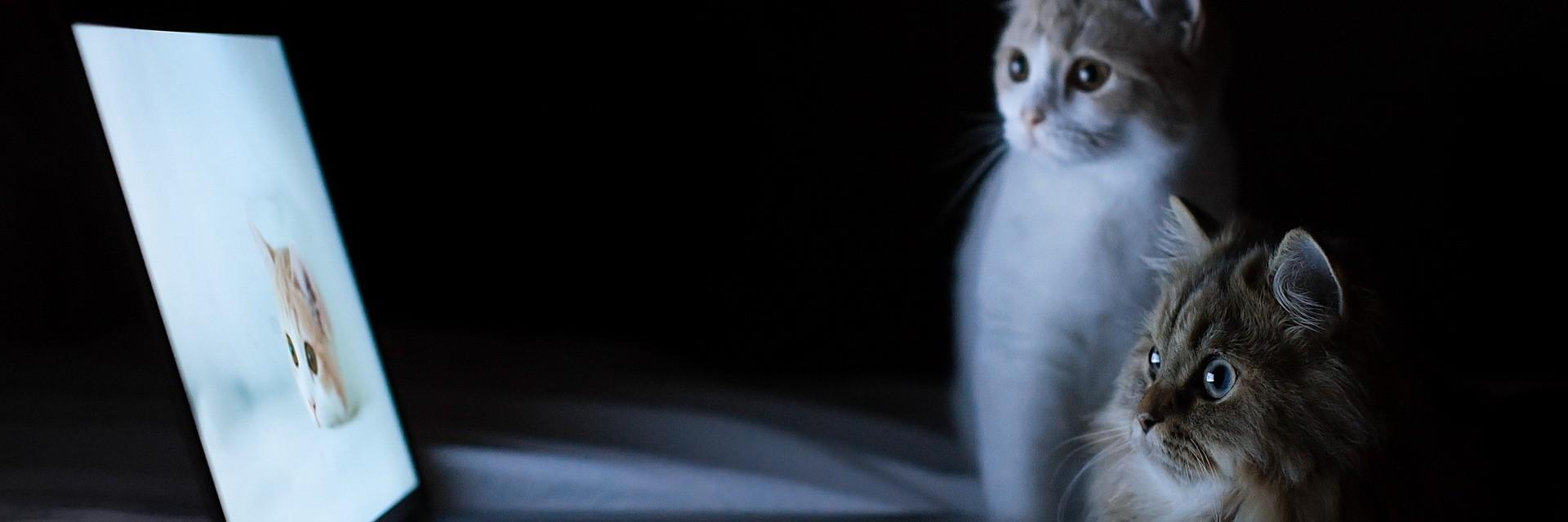 DZconnect's profile banner image