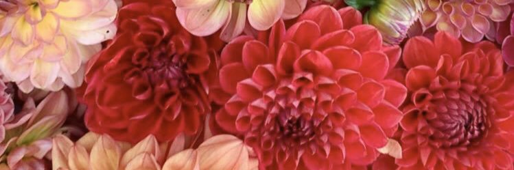 mfklalonde's profile banner image