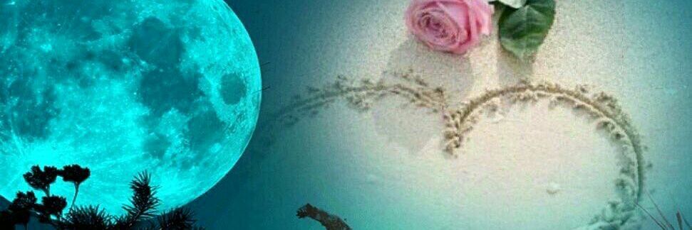 ma_ah1214's profile banner image