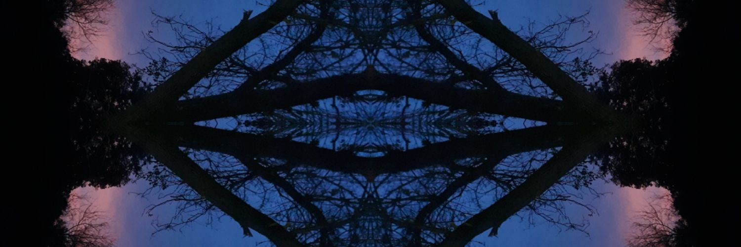 WholeEShift's profile banner image