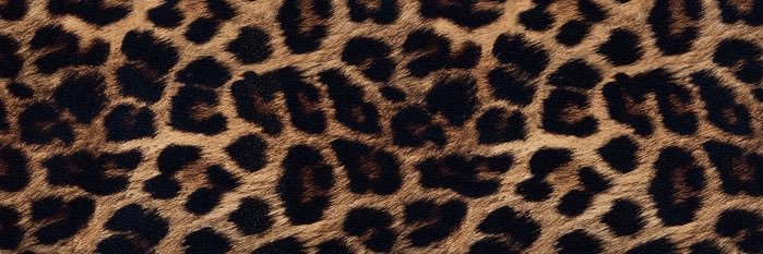 wolfnayley_'s profile banner image