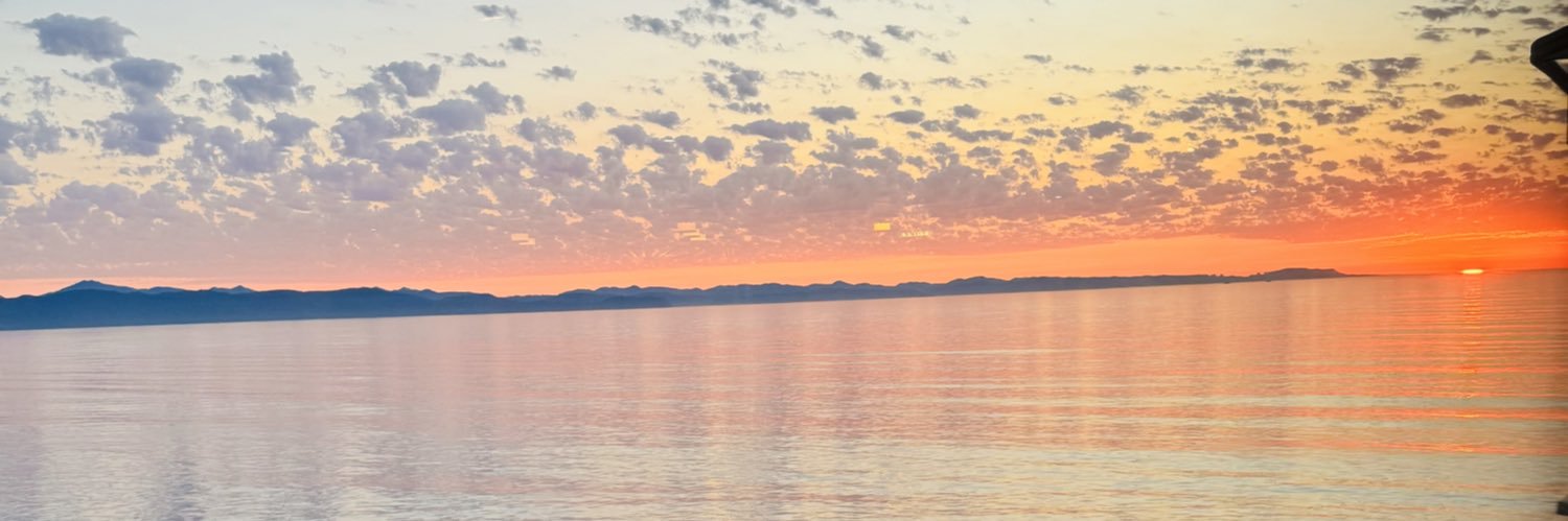 Milly2325's profile banner image