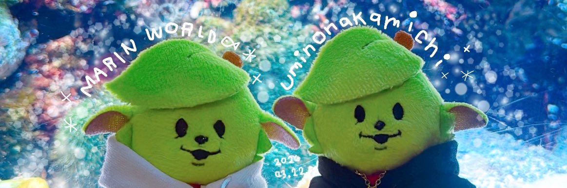 napo6040's profile banner image