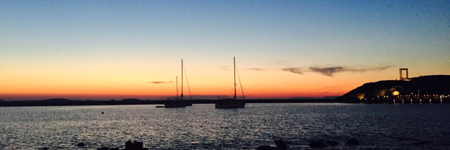 roberto monzani banner