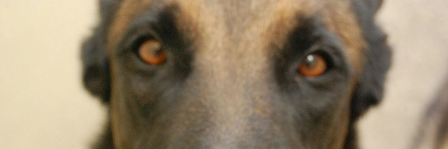 _teaccup's profile banner image