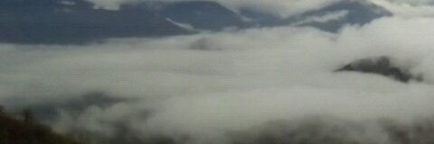 Armando Rodriguez O banner