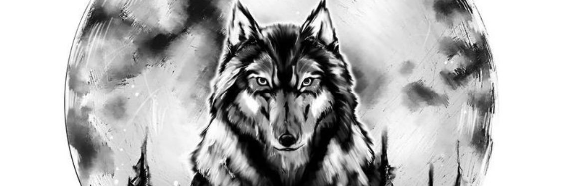 joewanders11's profile banner image