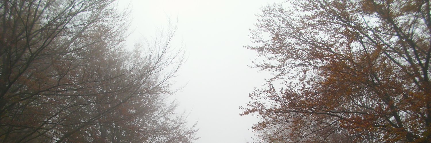 beatriz_er's profile banner image