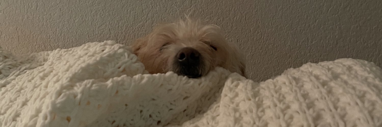 KTkatie's profile banner image