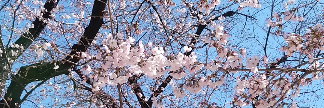 426Funaki's profile banner image