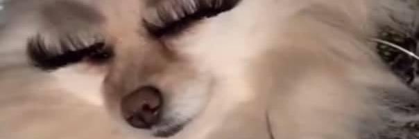 uluvJasmine's profile banner image