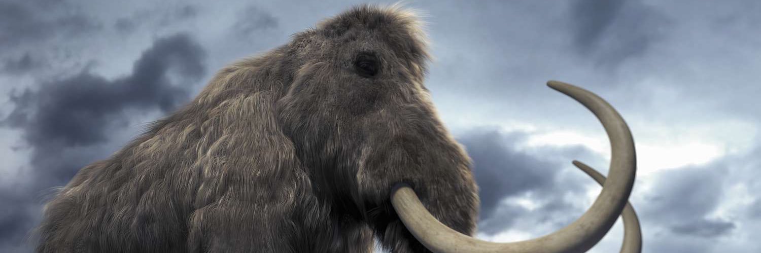 @DesertFrogger@universeodon.com banner