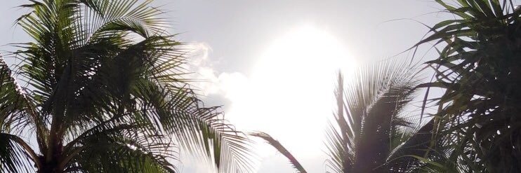 zackary_storm's profile banner image