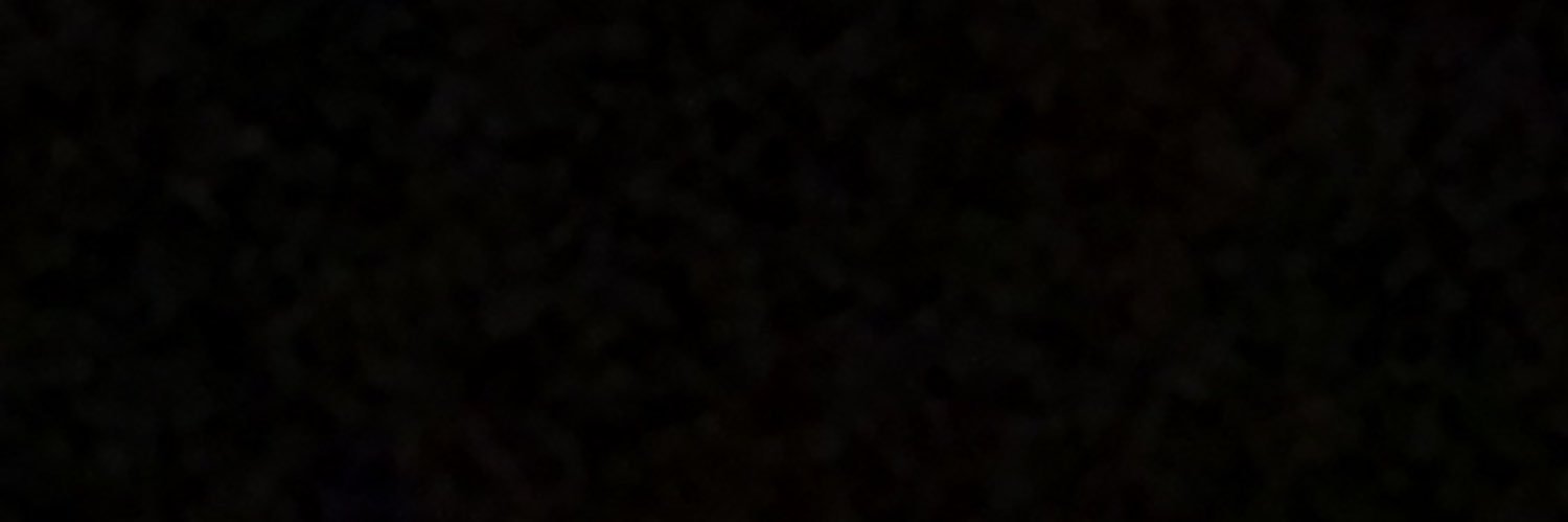 larasmahendra's profile banner image