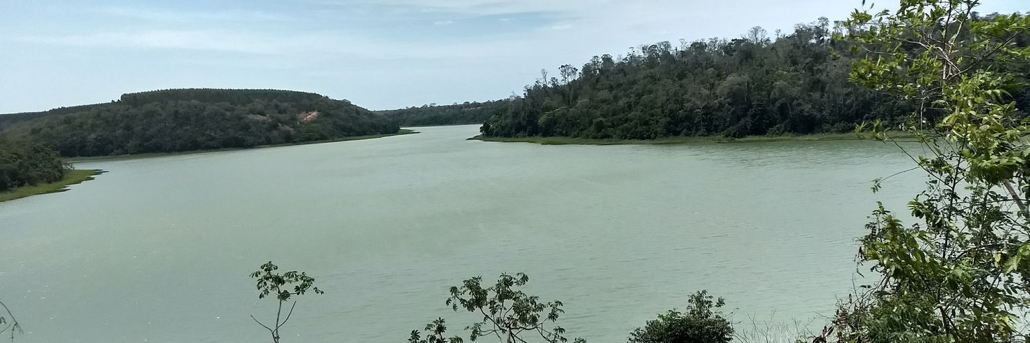 Luiz Ricardo Sullivan banner