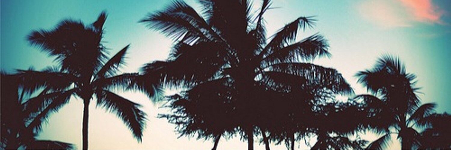 zola_feign's profile banner image