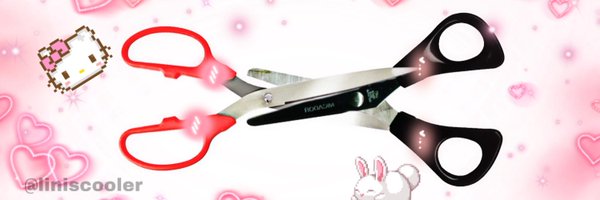 liniscooler Profile Banner