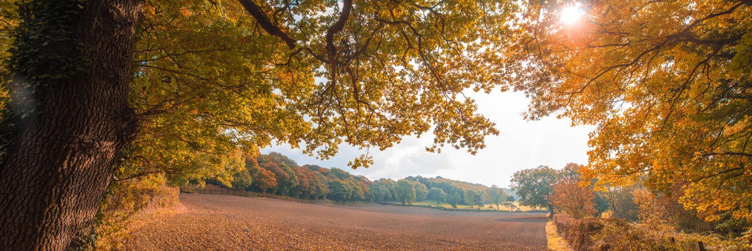 stokpic's profile banner image